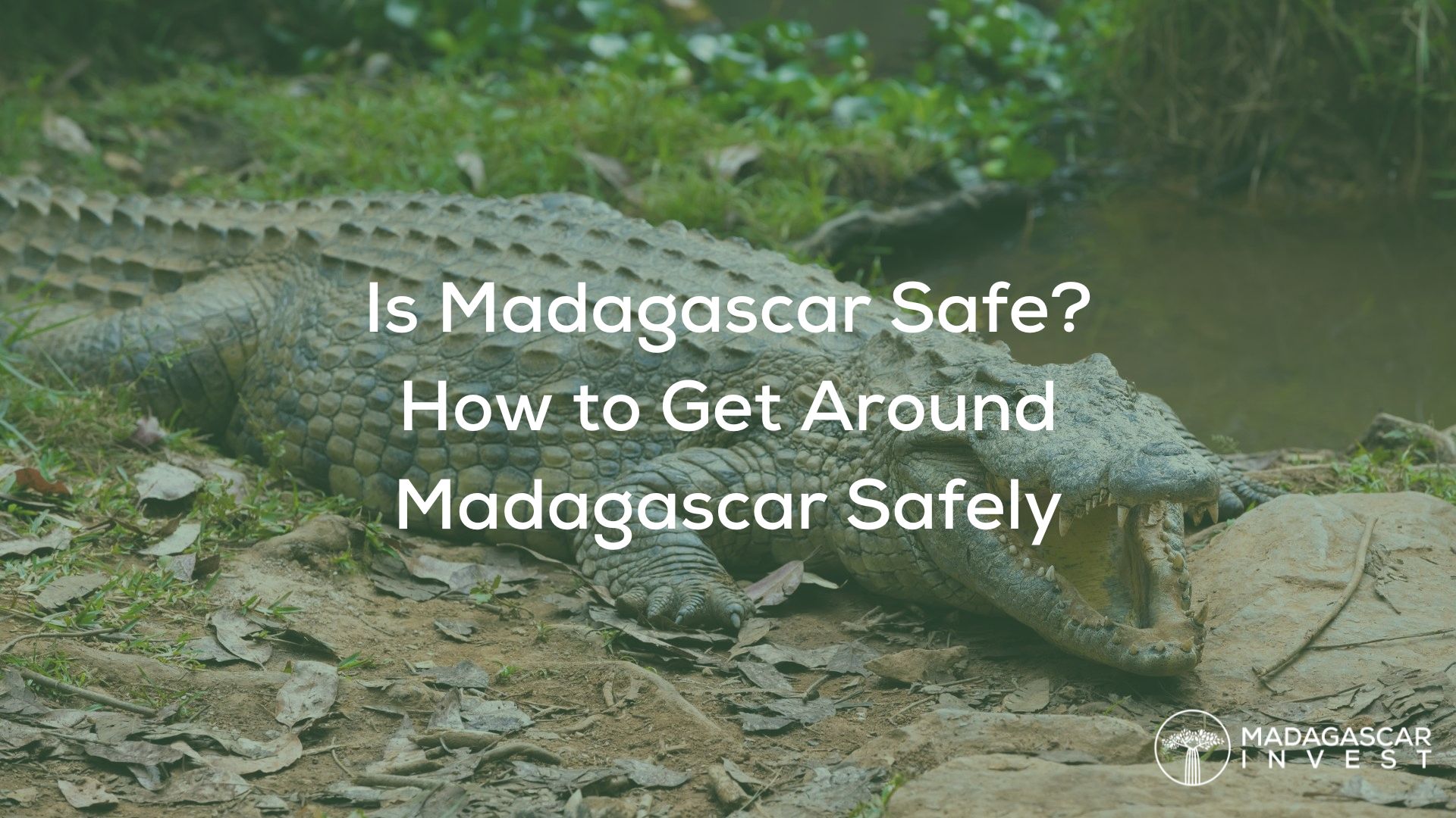 AN image showing a crocodile in Madagascar, with the overlay text "is madagascar safe?" and a madagascar invest logo