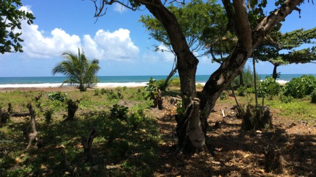 Huge beachfront plot on Madagascar’s east coast