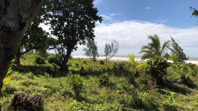 Large building plot a stone’s throw from the Indian Ocean