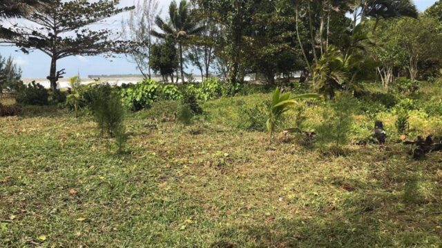 Affordable beach lot in Mahambo, Madagascar