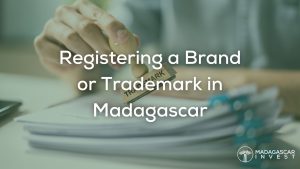 image showing a hand stamping a piece of paper with the words trademark, also featured is the madagascar invest logo