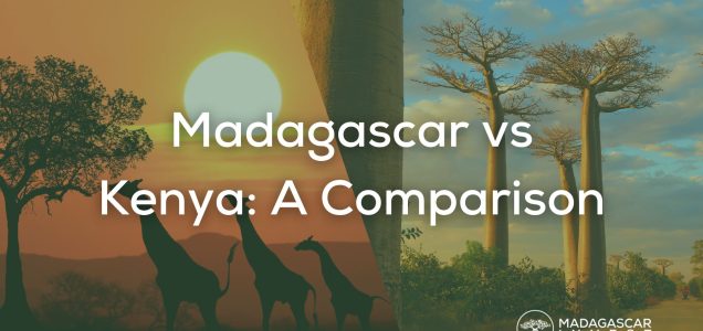 picture of kenya and madagascar split in 2