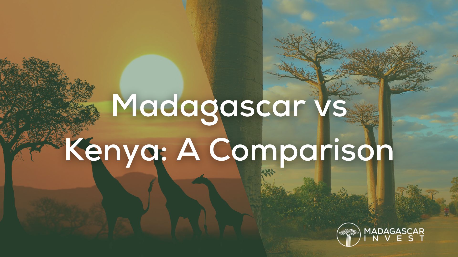 picture of kenya and madagascar split in 2