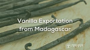 image de vanille exportée de Madagascar