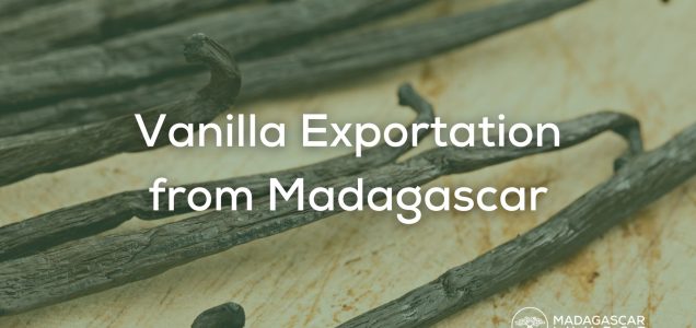 image of vanilla being exported from madagascar
