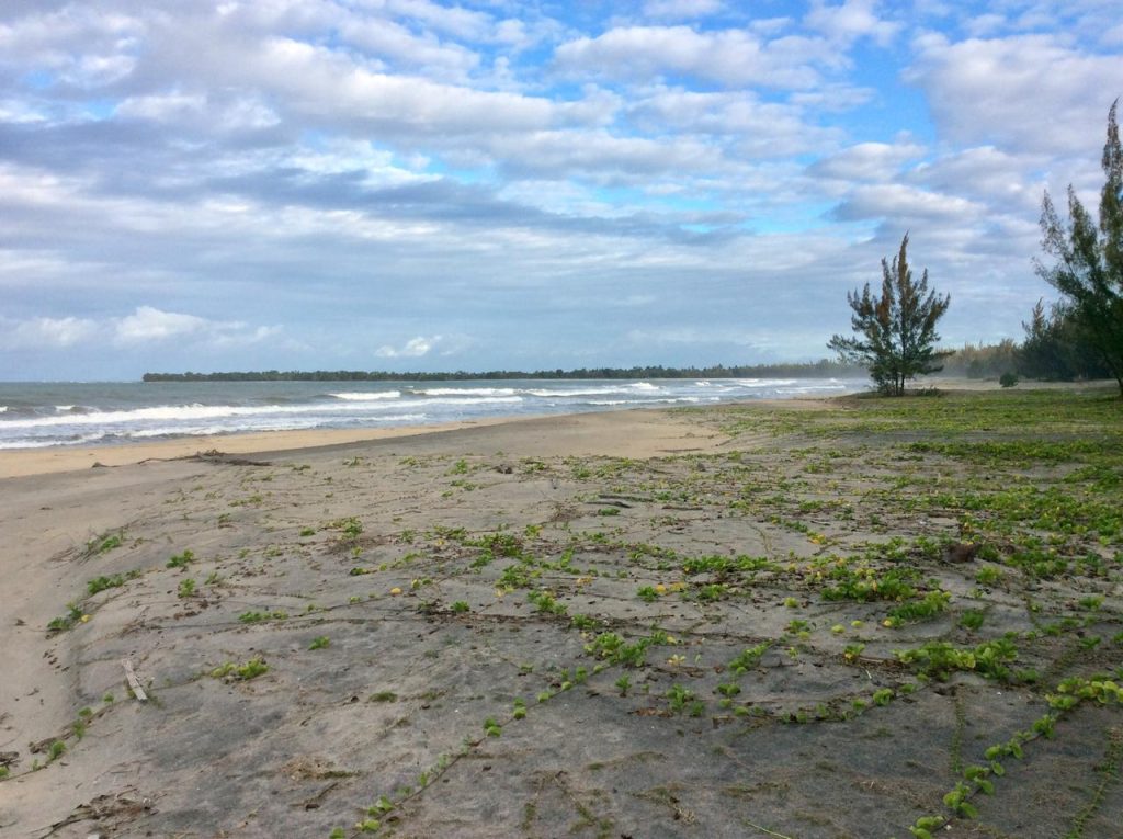 image of large beachfront property in Mahambo Madagascar with some trees in the background