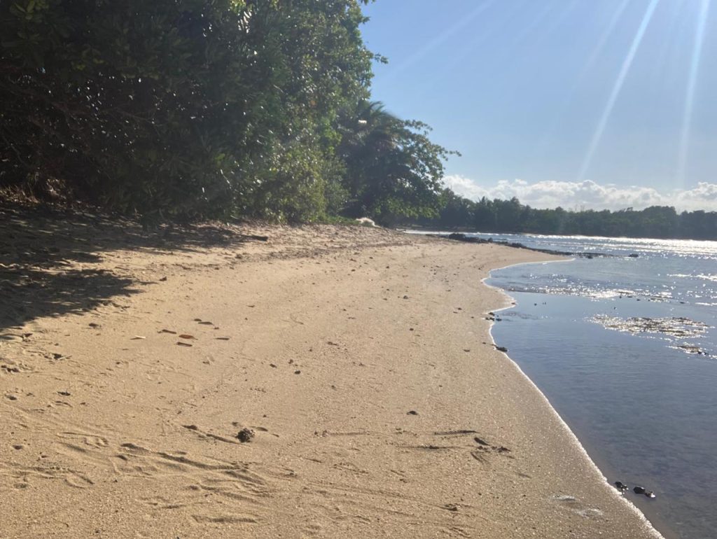 Front de mer Fenerive Est 2789 m²