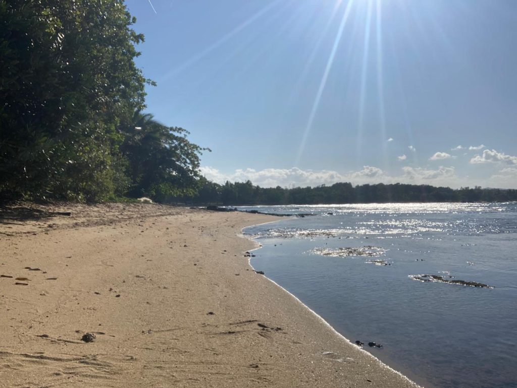 Front de mer Fenerive Est 2789 m2 2