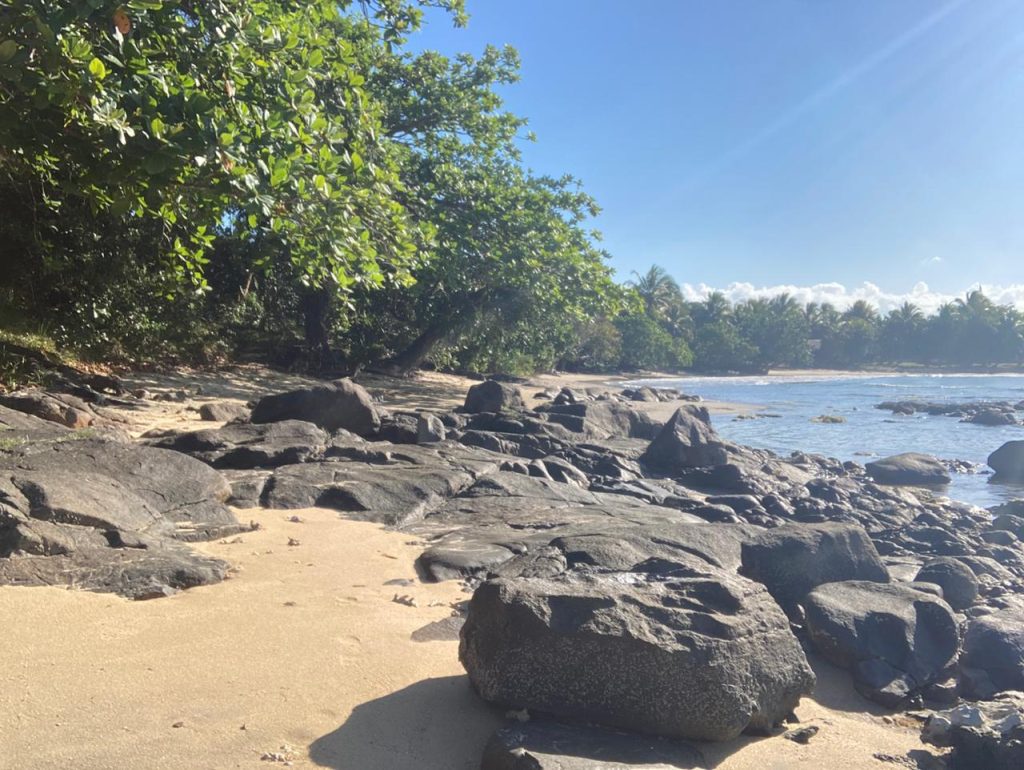 Front de mer Fenerive Est 2789 m2 3