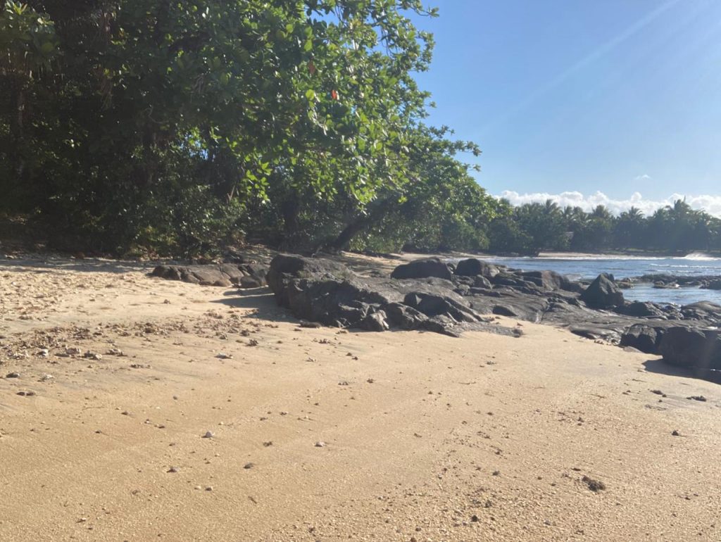 Front de mer Fenerive Est 2789 m2 4