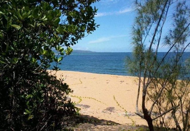 Beachfront Manompana 10 Hectares 6