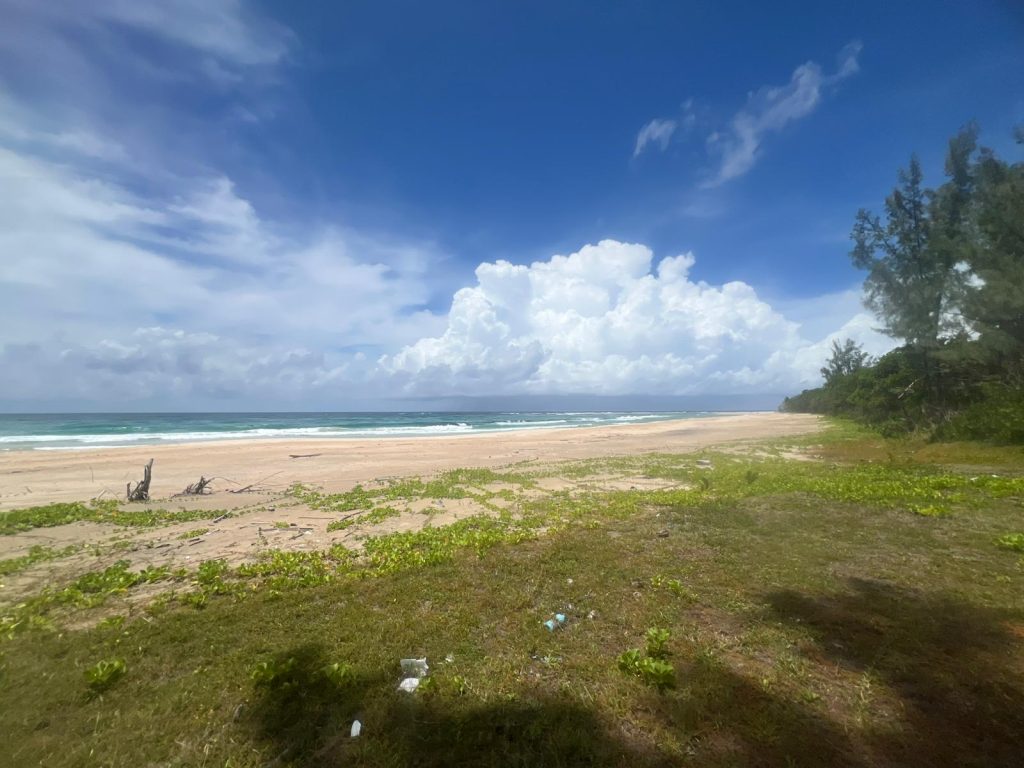 image montrant un magnifique terrain isolé en bord de mer sur l'île Sainte-Marie à Madagascar