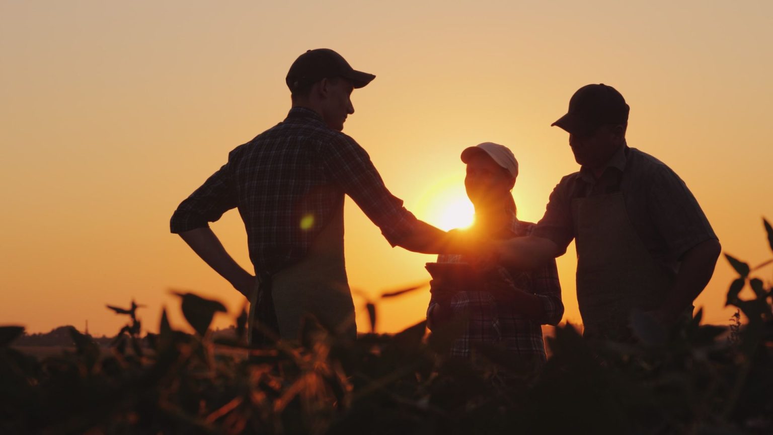 Agricultural Business Opportunities in Madagascar