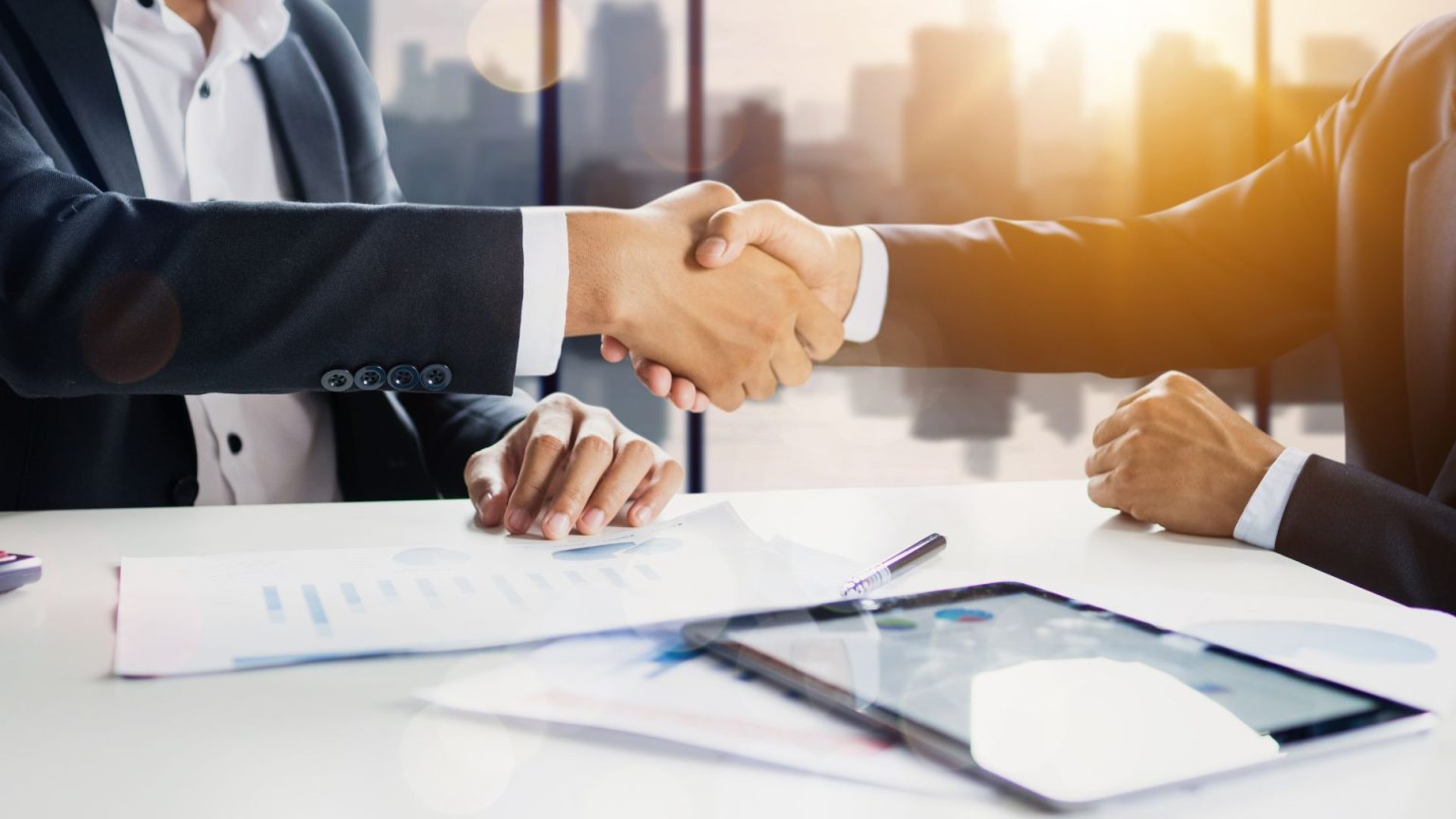 Different Business Entities in Madagascar (Explained)