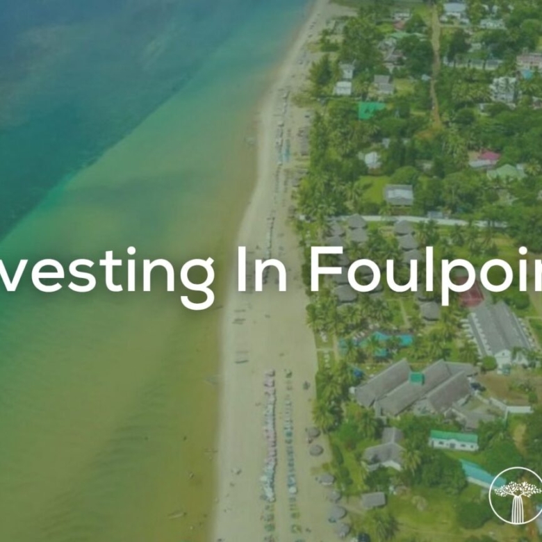Investing in Foulpointe: Daily Life and Business Opportunities