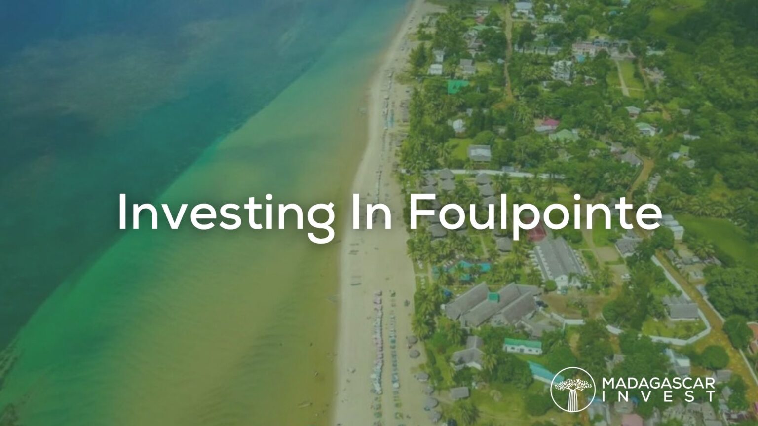 Investing in Foulpointe: Daily Life and Business Opportunities