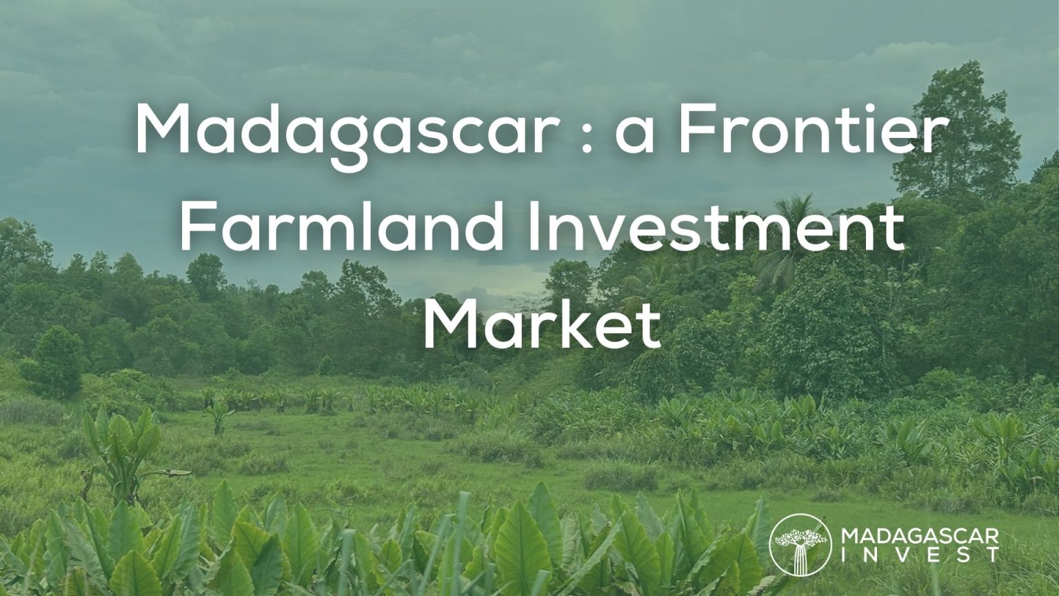 Why Madagascar is Becoming a Frontier Farmland Investment Market