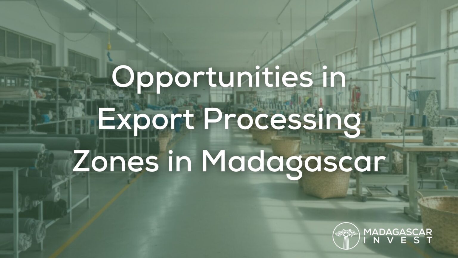 Opportunities in Export Processing Zones (EPZs) in Madagascar