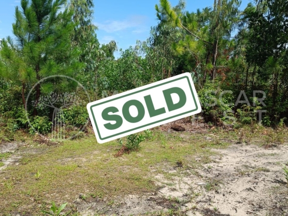 (SOLD) Huge 5,000 m² Plot Near Foulpointe Beach for €10,000