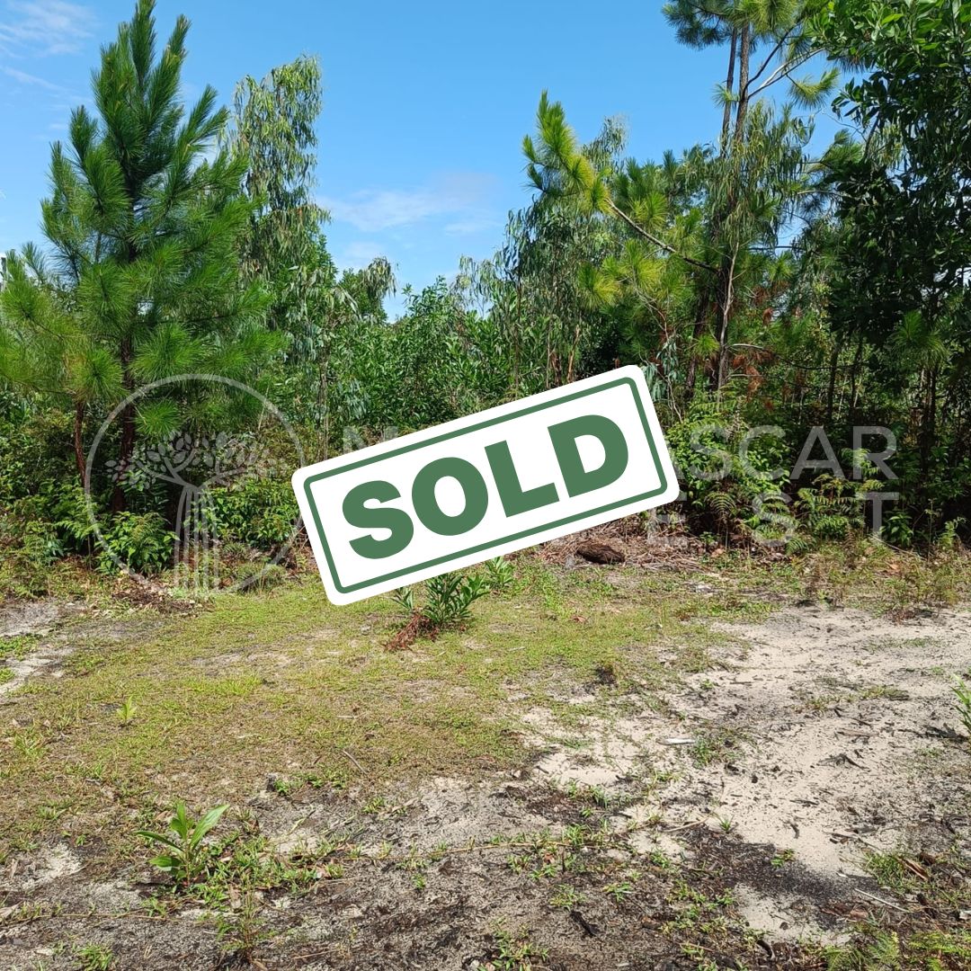 affordable land near foulpointe sold 1 (SOLD) Huge 5,000 m² Plot Near Foulpointe Beach for €10,000