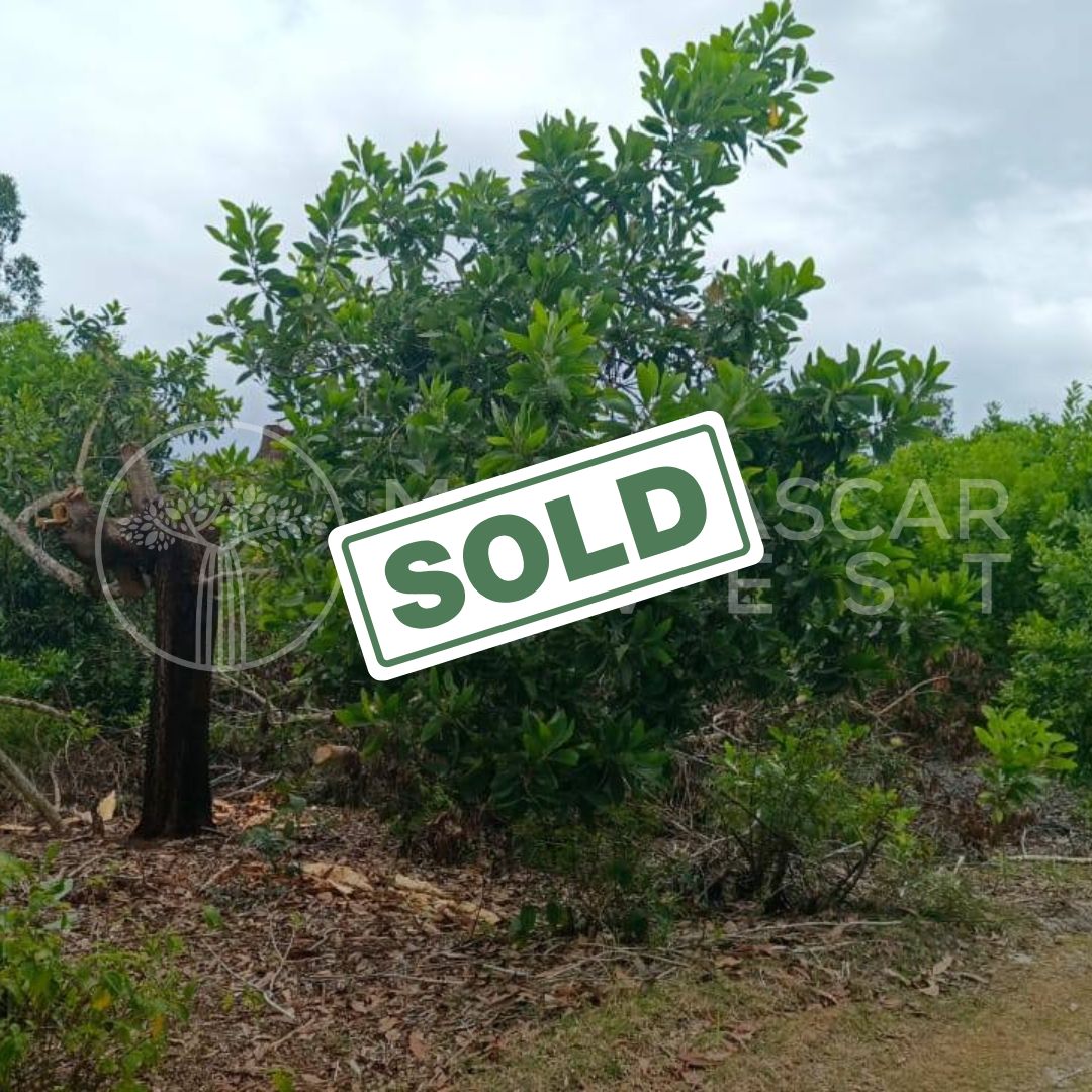 affordable land near foulpointe sold 2 (SOLD) Huge 5,000 m² Plot Near Foulpointe Beach for €10,000