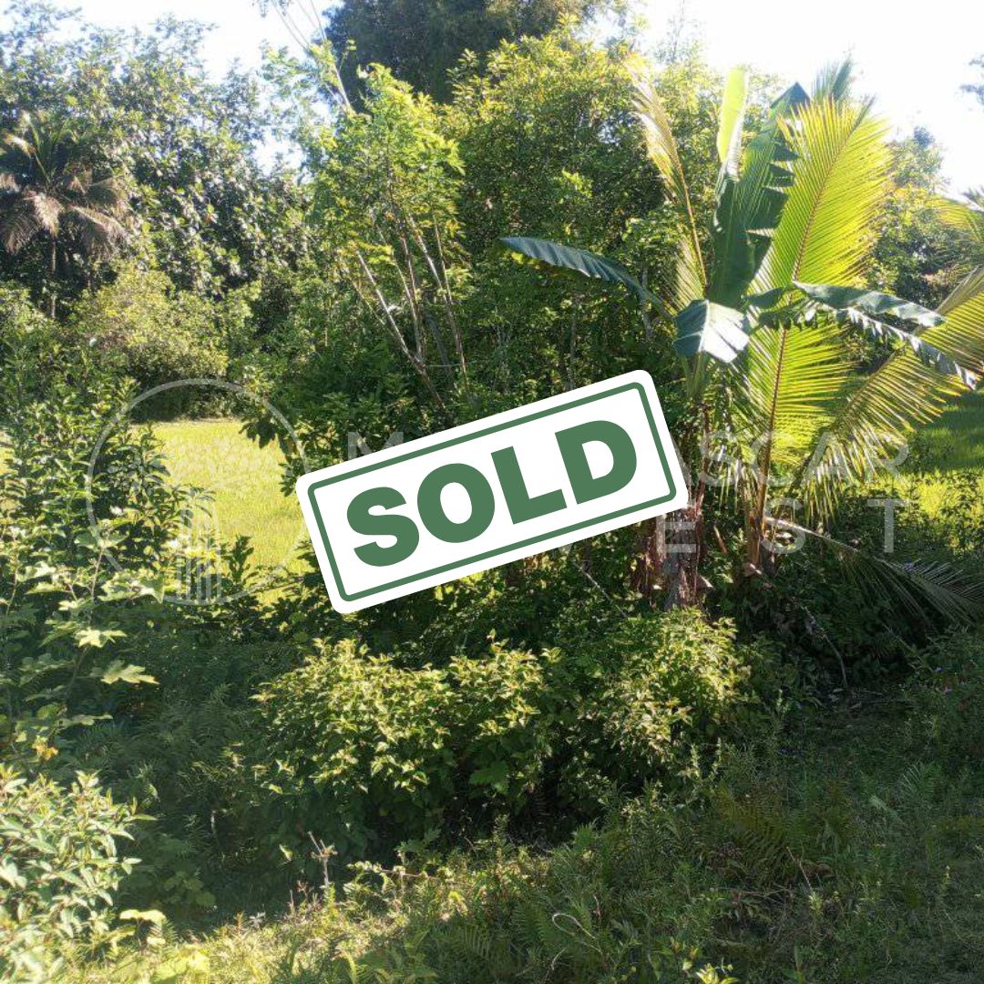 affordable land near foulpointe sold 3 (SOLD) Huge 5,000 m² Plot Near Foulpointe Beach for €10,000