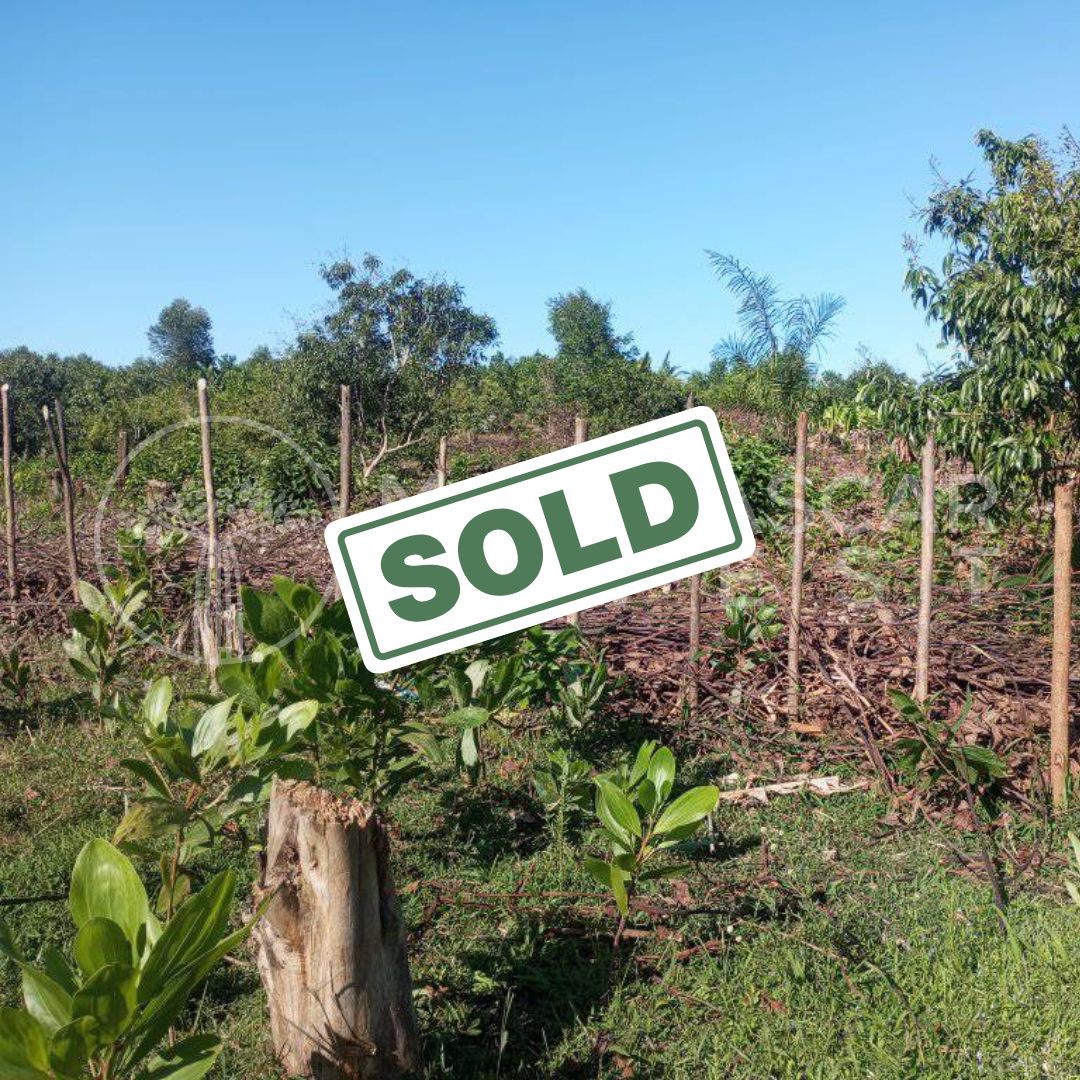 affordable land near foulpointe sold 5 (SOLD) Huge 5,000 m² Plot Near Foulpointe Beach for €10,000