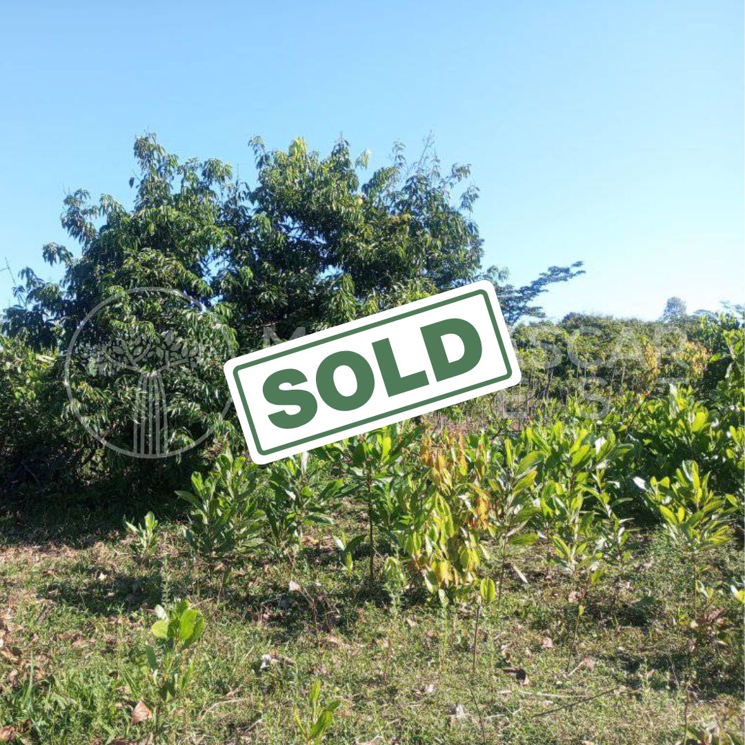 affordable land near foulpointe sold 6 (SOLD) Huge 5,000 m² Plot Near Foulpointe Beach for €10,000
