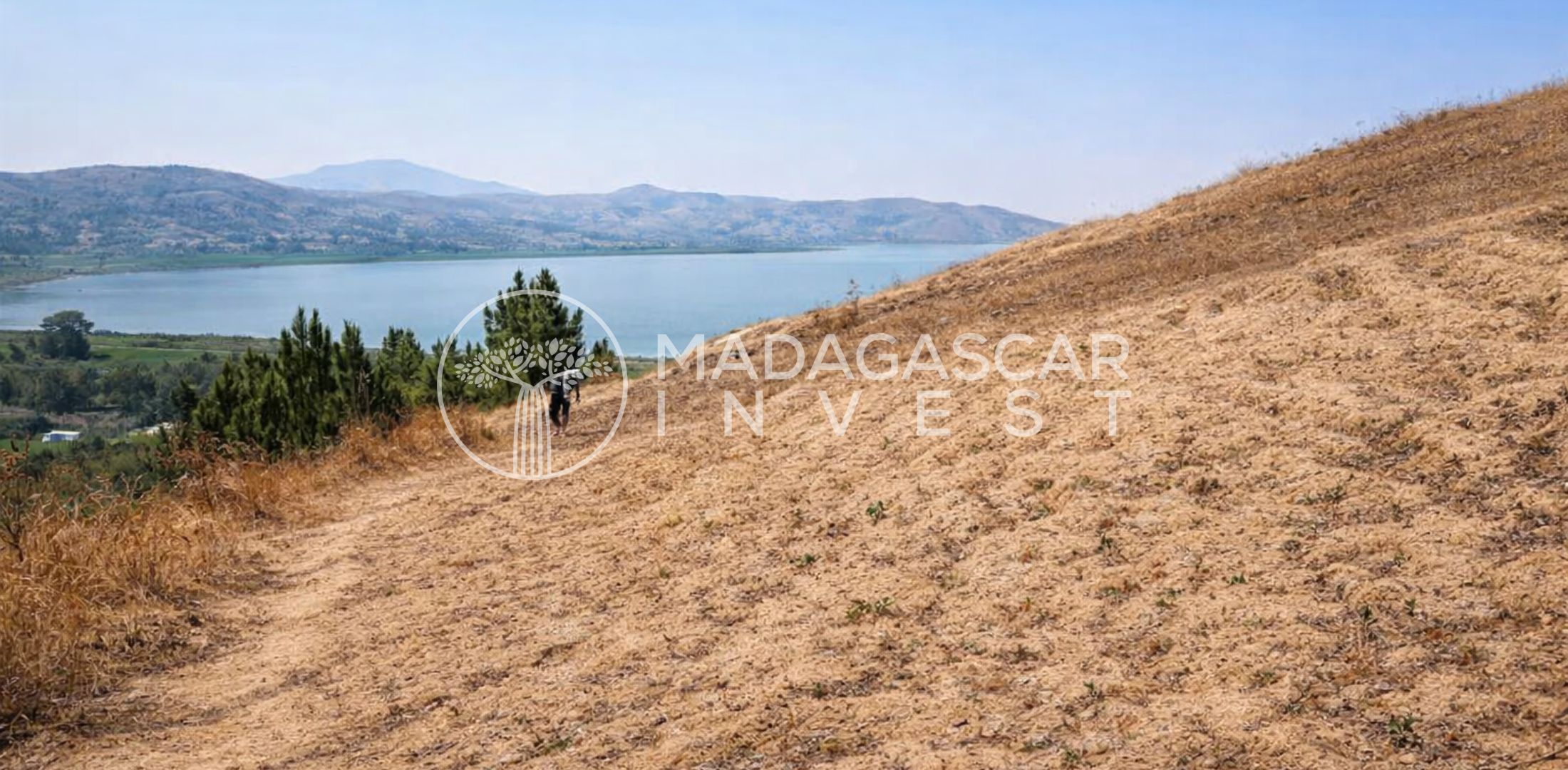 1.5-Hectare-Property-in-Ampefy-near-Kung-Fu-Hotel-2