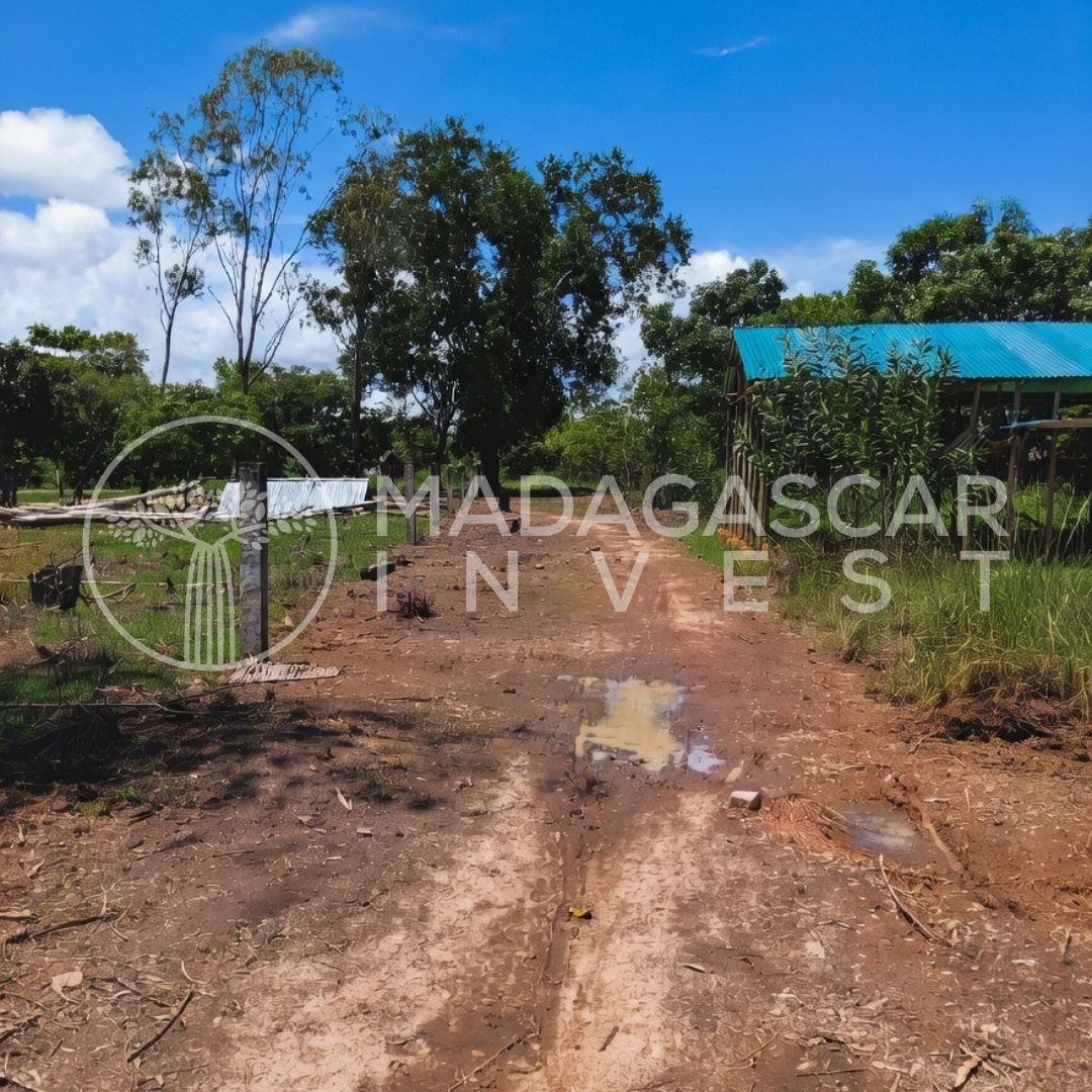 Ambanja-10-Hectare-Farmland-Property-Watermarked-3