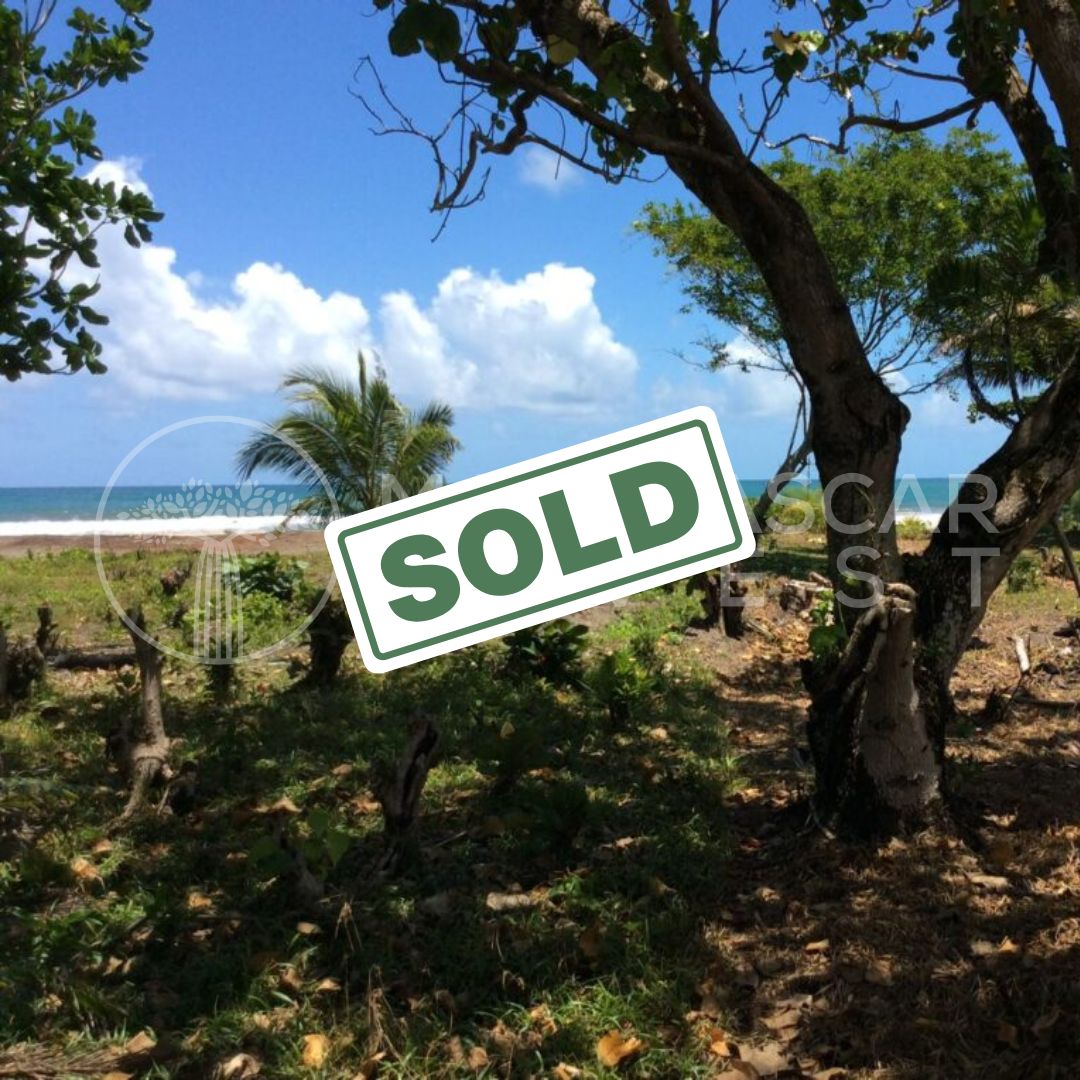 Terrain en bord de mer + permis de résidence à Madagascar pour seulement 10 000 €