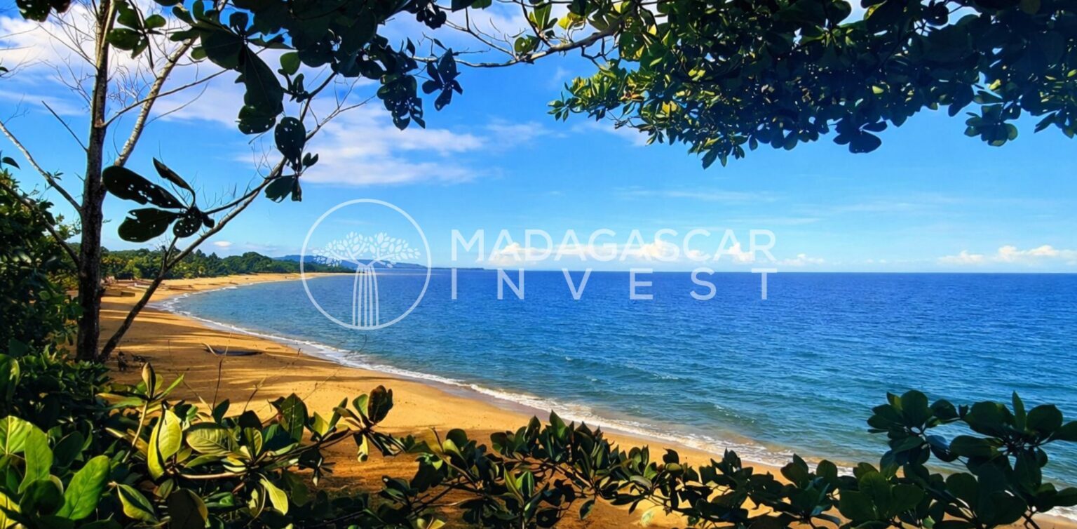 Large-7.5-Hectares-Beachfront-Land-in-Manompana-1536×754