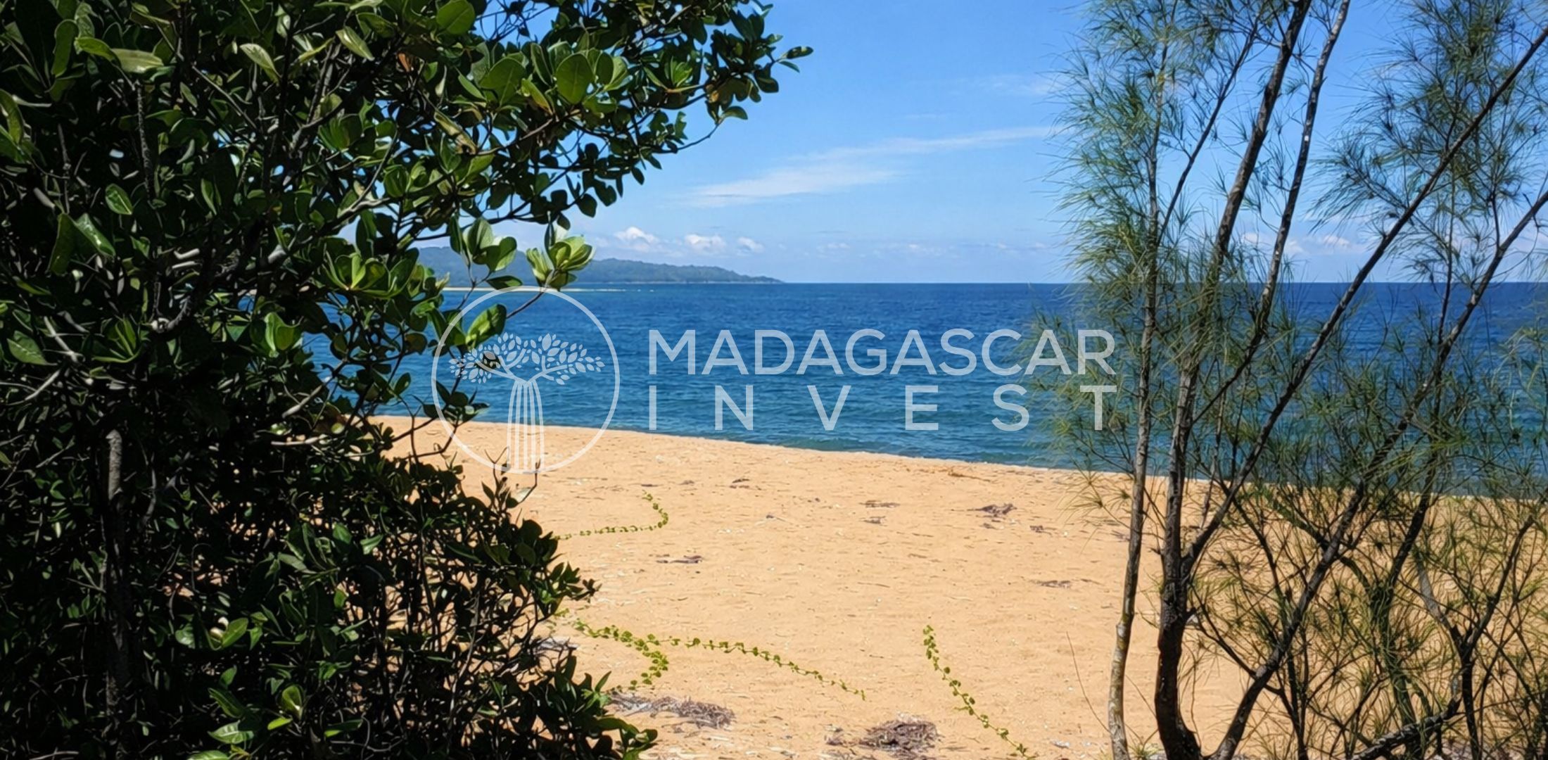 Large-7.5-Hectares-Beachfront-Land-in-Manompana-2