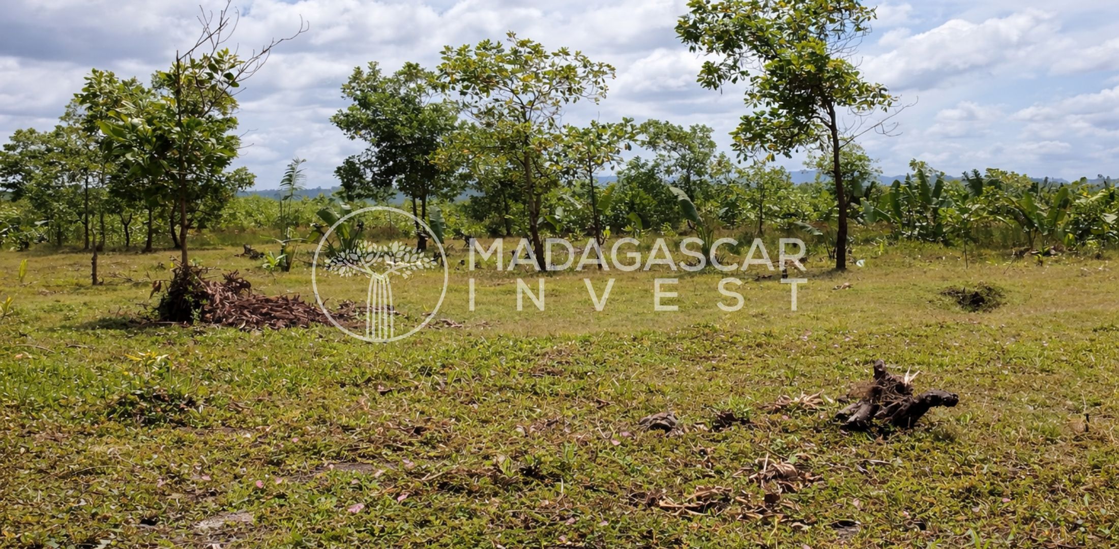 Private-Beachfront-Land-Near-Fenerive-Est-5