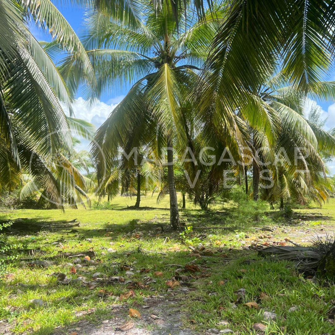 Secluded Beachfront Land on Sainte-Marie Island