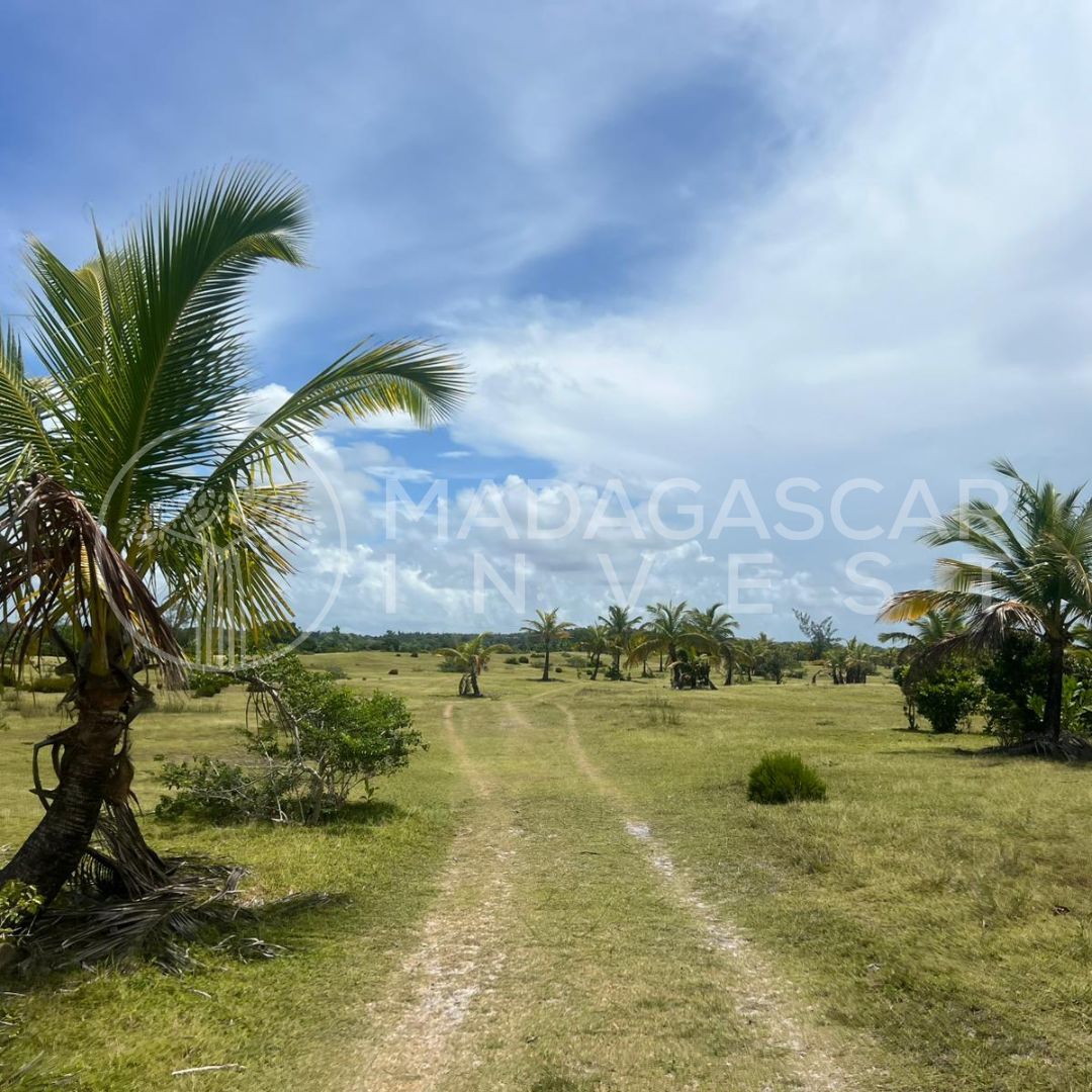 Secluded Beachfront Land on Sainte-Marie Island