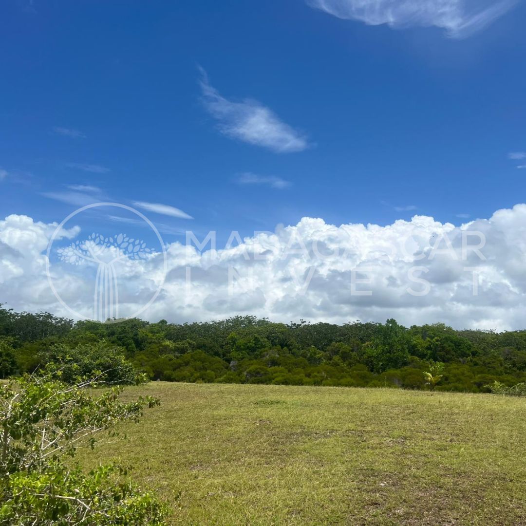 Secluded Beachfront Land on Sainte-Marie Island