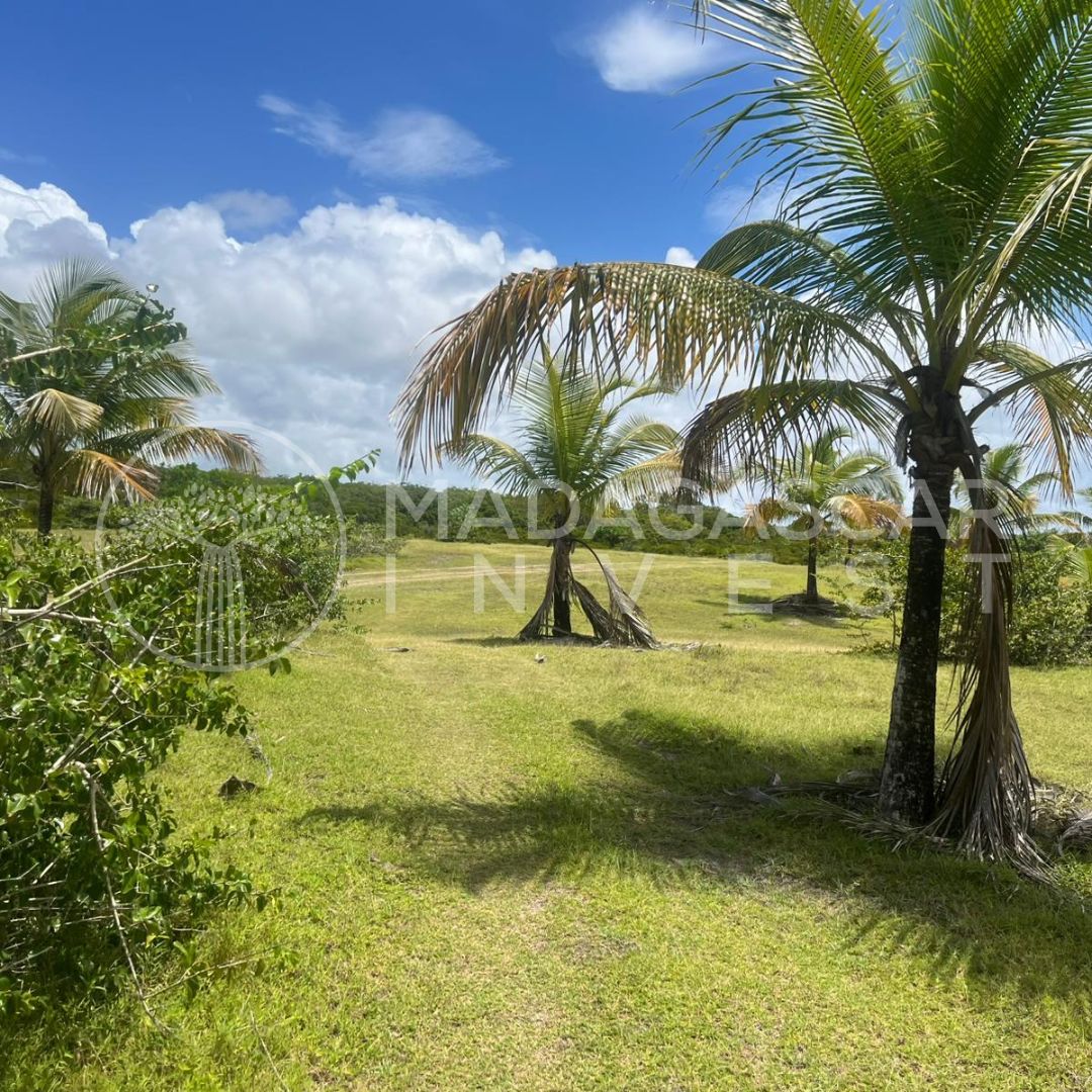 Secluded Beachfront Land on Sainte-Marie Island