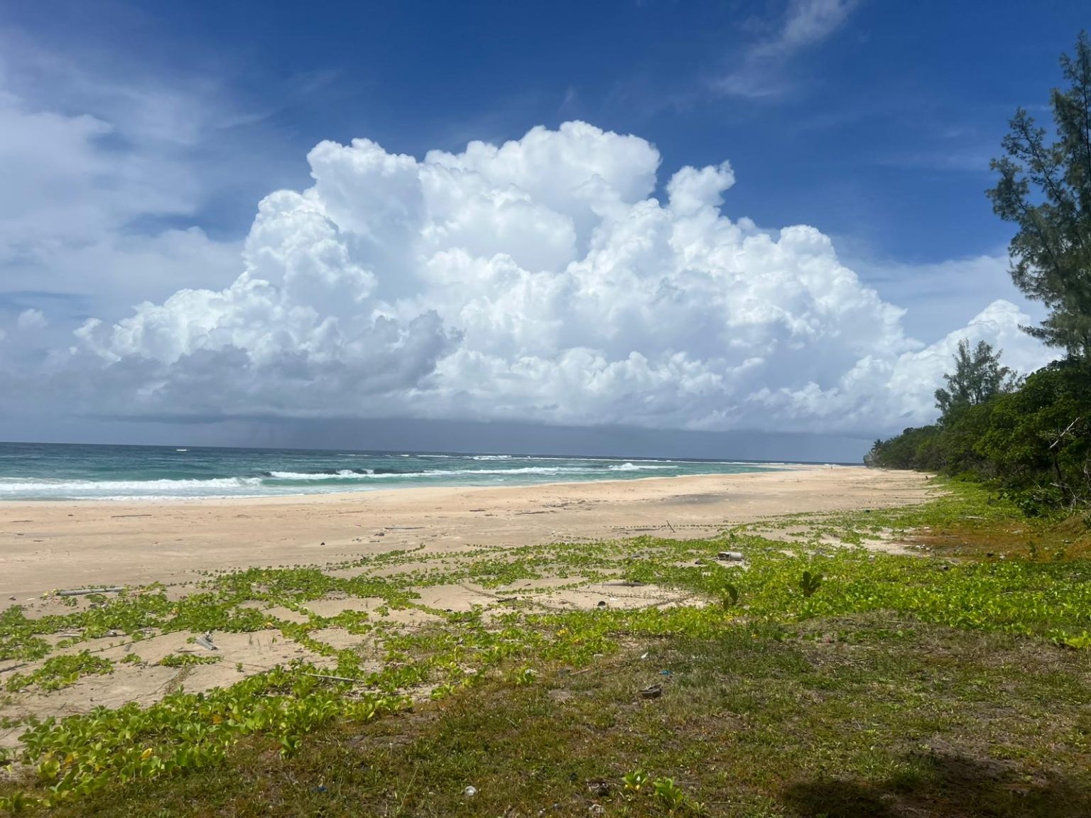 Secluded-Beachfront-Land-on-Sainte-Marie-Island-2-1536×1152