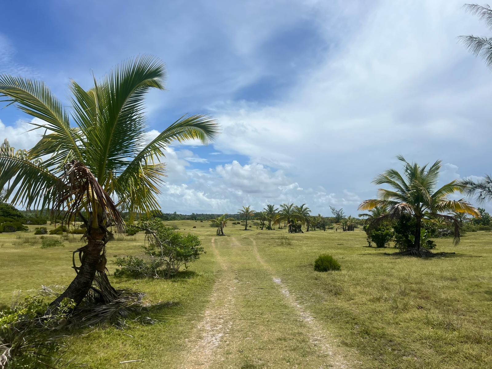 Secluded-Beachfront-Land-on-Sainte-Marie-Island-4