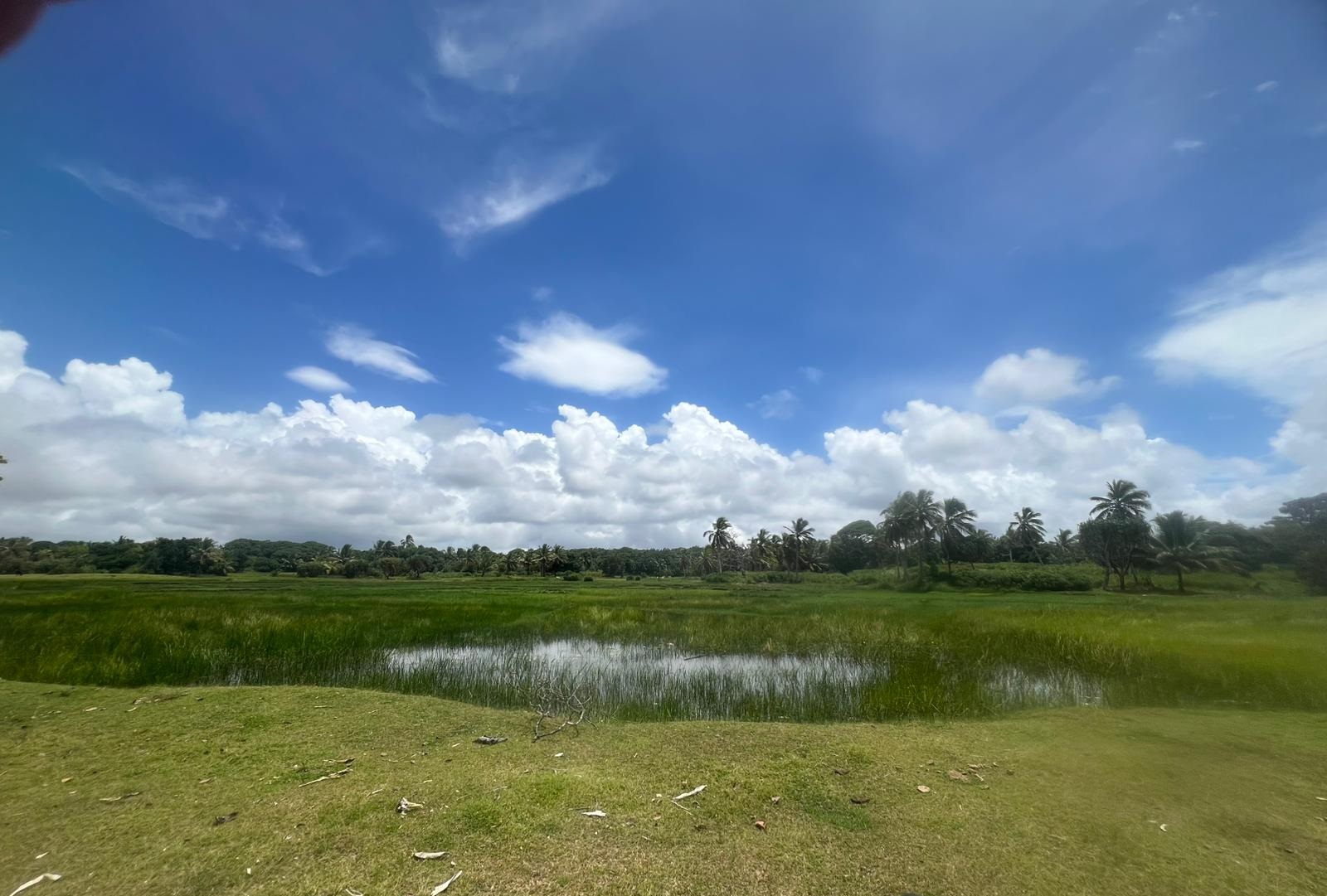 Secluded-Beachfront-Land-on-Sainte-Marie-Island-6