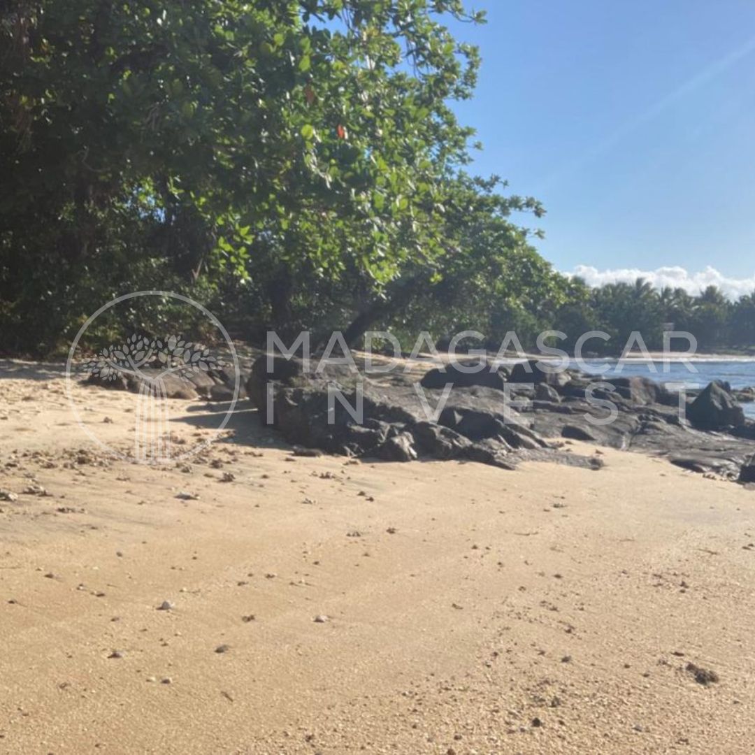 beachfront fenerive est 2789 watermarked 4 Magnifique et paisible propriété en bord de mer près de Fenerive Est, Madagascar