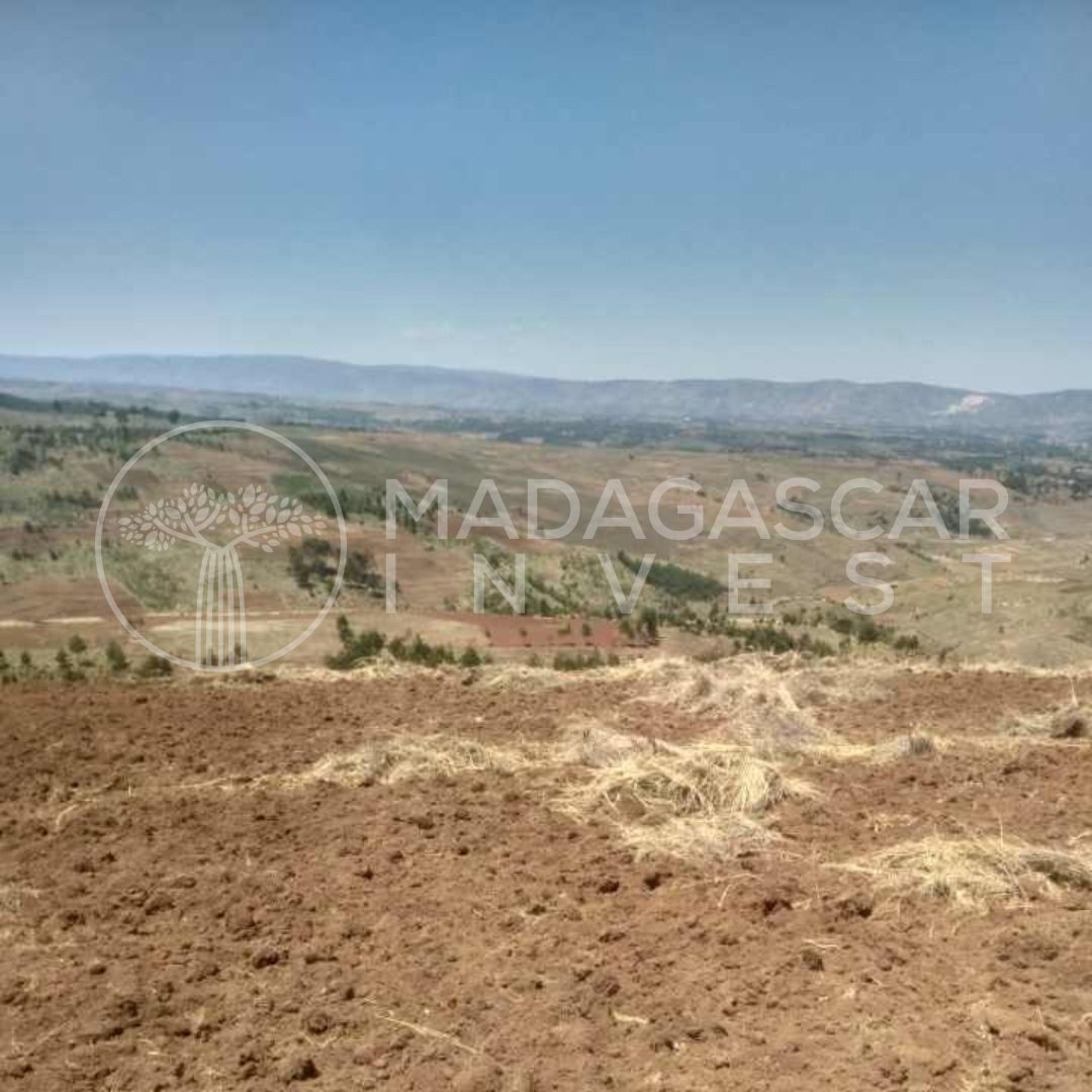 Terrain agricole et d'investissement de 6,2 hectares à vendre – Andranomanelatra 1 La propriété agricole d'Andranomanelatra et ses champs agricoles adjacents