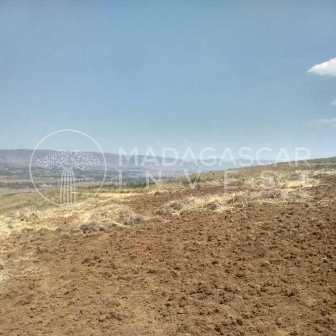 Terrain agricole et d'investissement de 6,2 hectares à vendre – Andranomanelatra 2 Propriété Andranomanelatra avec une vue imprenable sur les environs