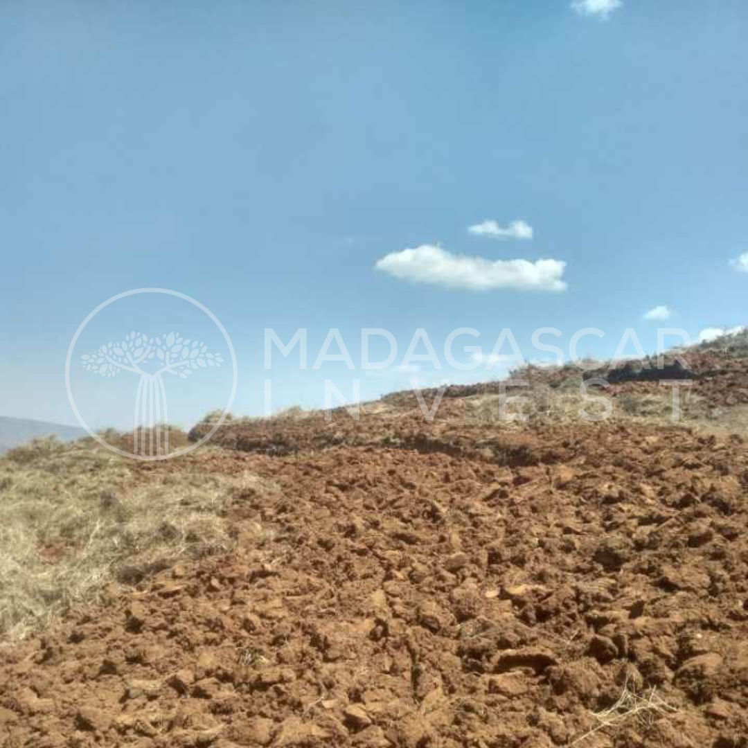 Terrain agricole et d'investissement de 6,2 hectares à vendre – Andranomanelatra 3 propriété andranomanelatra et ses champs agricoles