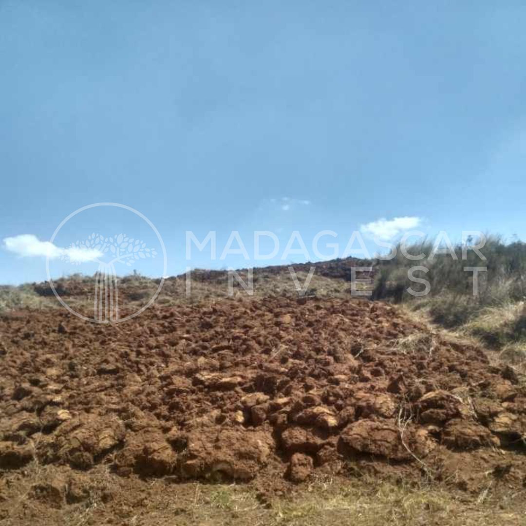 Terrain agricole et d'investissement de 6,2 hectares à vendre – Andranomanelatra 4 vue de la propriété andranomanelatra et de ses champs agricoles