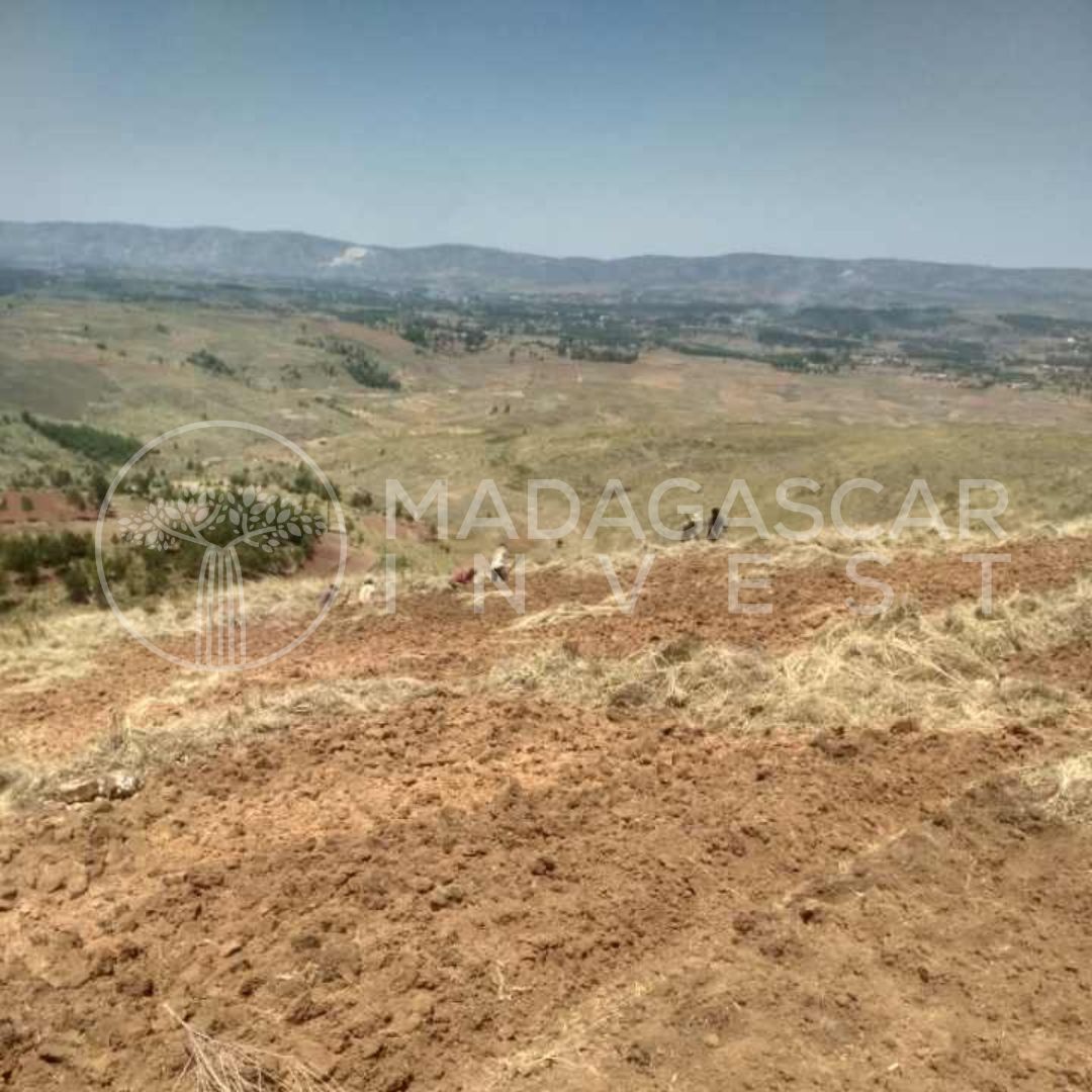 Terrain agricole et d'investissement de 6,2 hectares à vendre – Andranomanelatra 5 vue de la propriété Andranomanelatra et de la campagne environnante