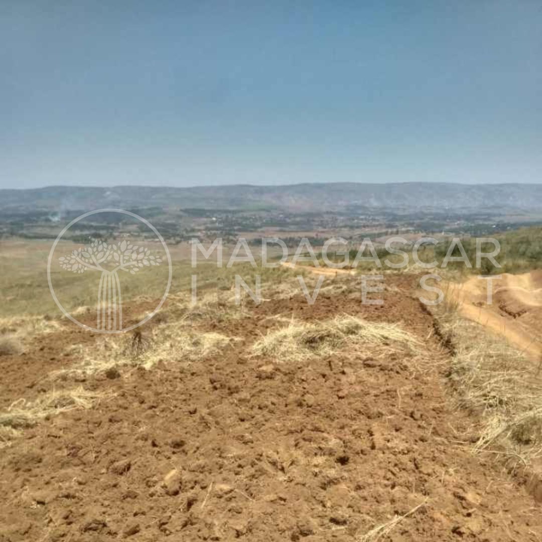 vue depuis la propriété sur les environs et les collines environnantes