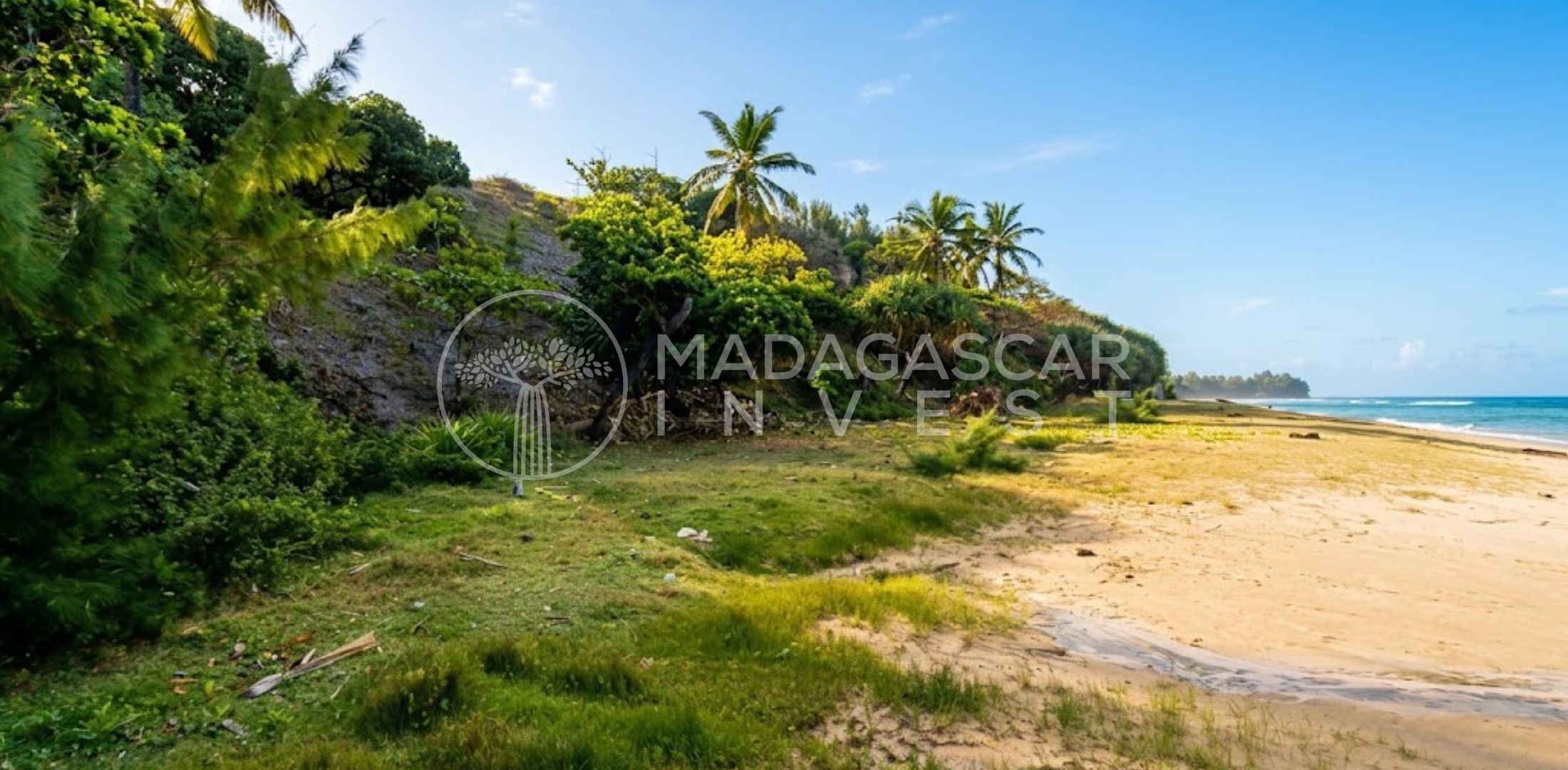 Large Beachfront Land on Sainte Marie Island 1 Grand terrain en bord de mer à vendre sur l'île Sainte-Marie