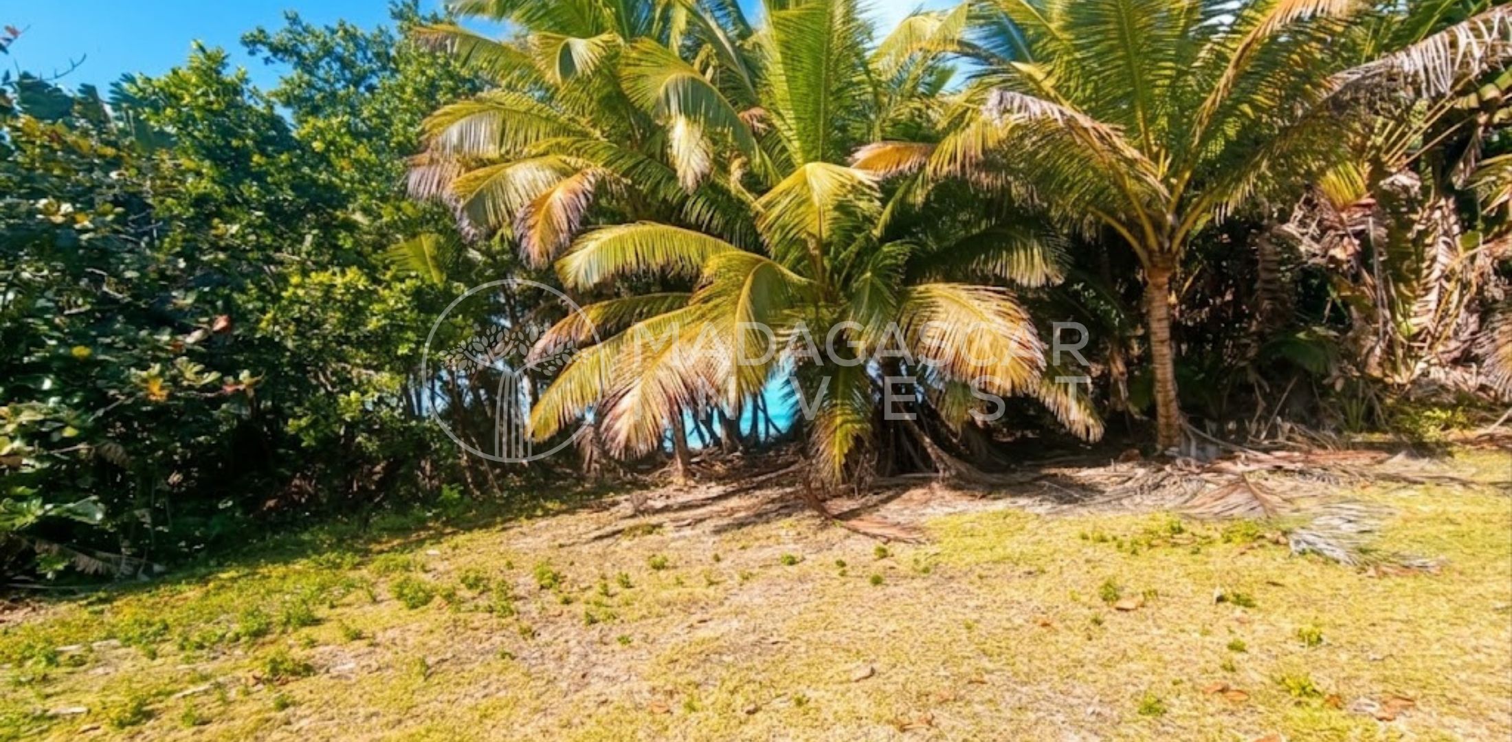 Large Beachfront Land on Sainte Marie Island 10 Grand terrain en bord de mer à vendre sur l'île Sainte-Marie